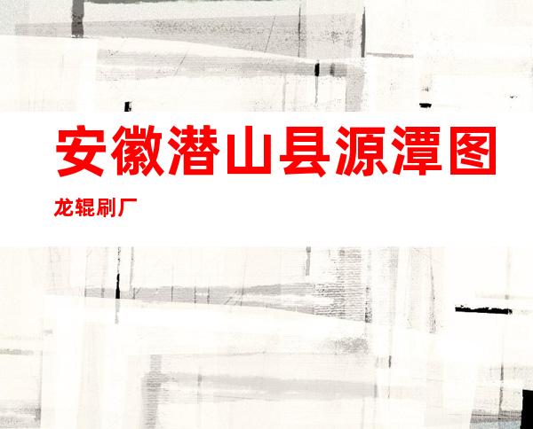 安徽潜山县源潭图龙辊刷厂